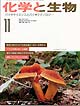 Vol.36 No.11
