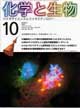 Vol.38 No.10